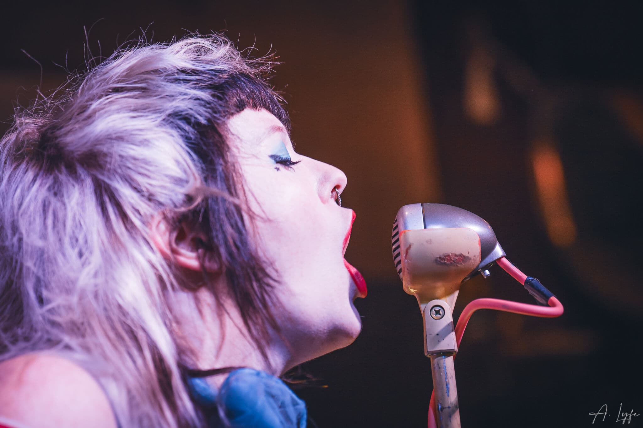 Punk Rock Night Indianapolis gallery image 2